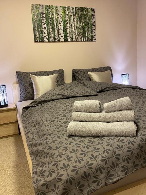 Posteľ alebo postele v izbe v ubytovaní Apartamenty W Brzozowym Gaju