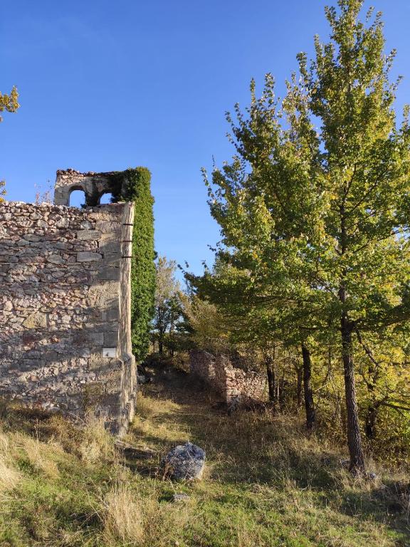 Príroda v okolí apartmánu