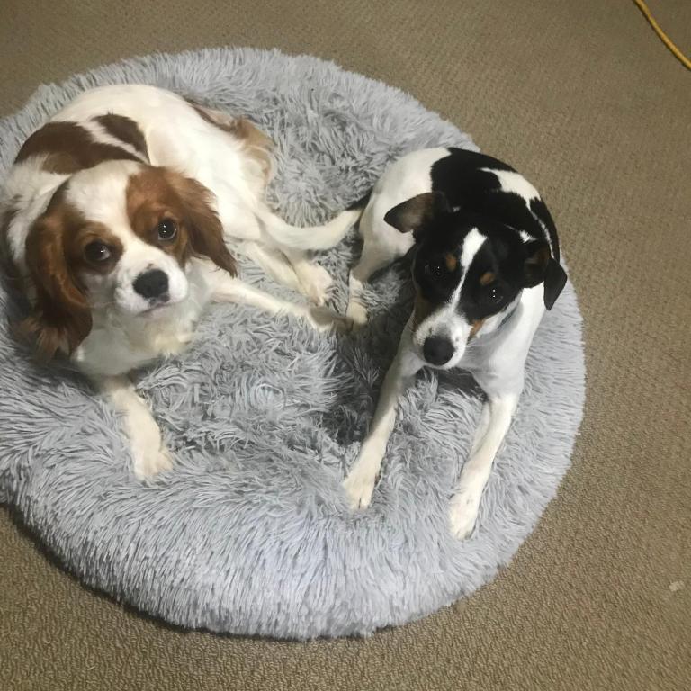 Horseinaround - Resim 24