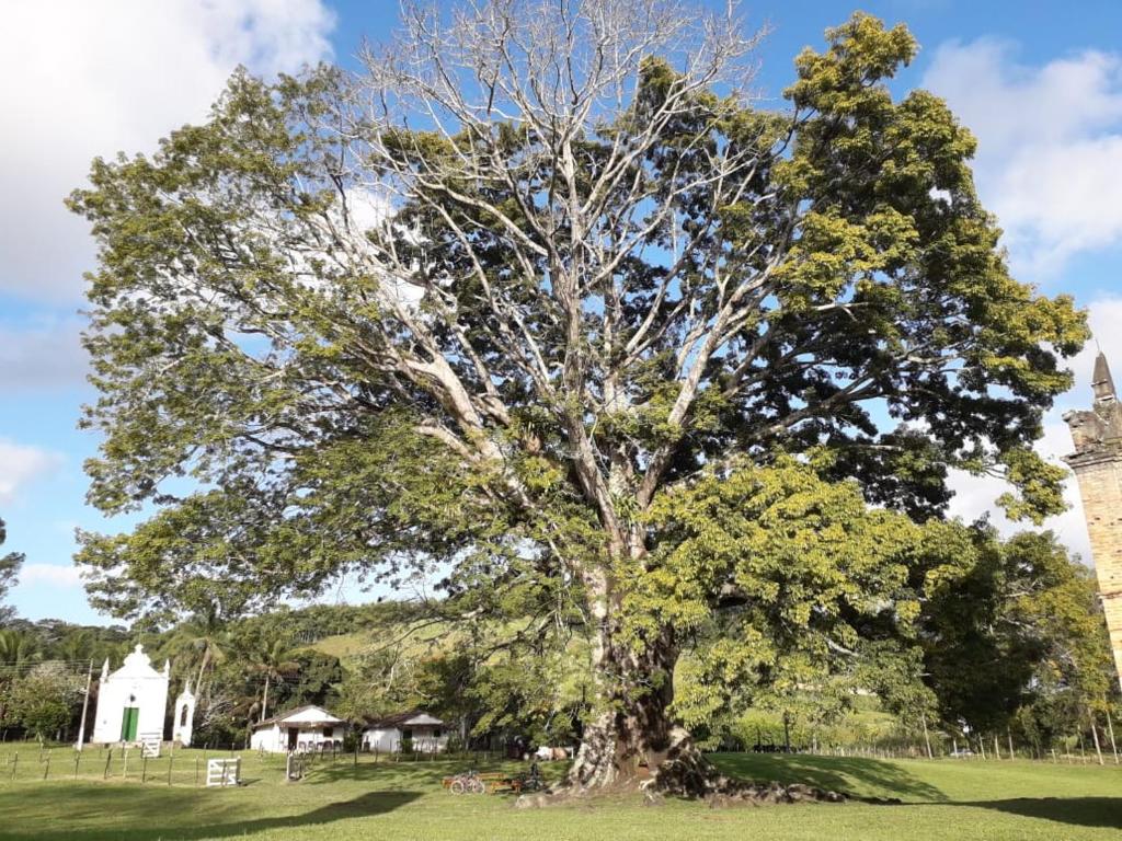  Casa de campo em Fazenda Histórica