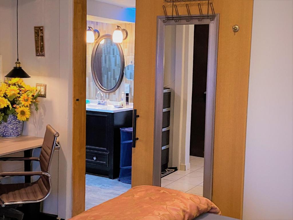 a room with a bathroom with a sink and a mirror at Dickinson Guest House, Guadalajara Expo in Guadalajara