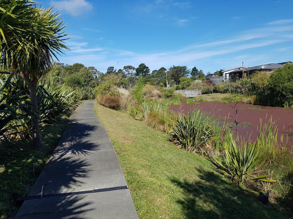a walking path in a park with trees and plants at Mangawhai Room in Mangawhai