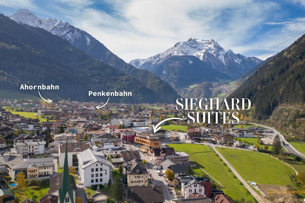 Příroda nedaleko apartmánu