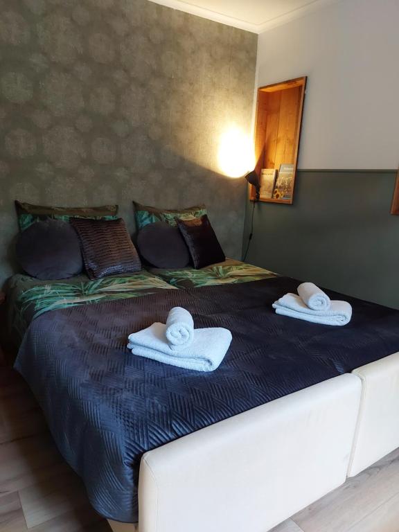 1 dormitorio con 1 cama grande y toallas. en Bed & Breakfast Hellendoorn en Hellendoorn