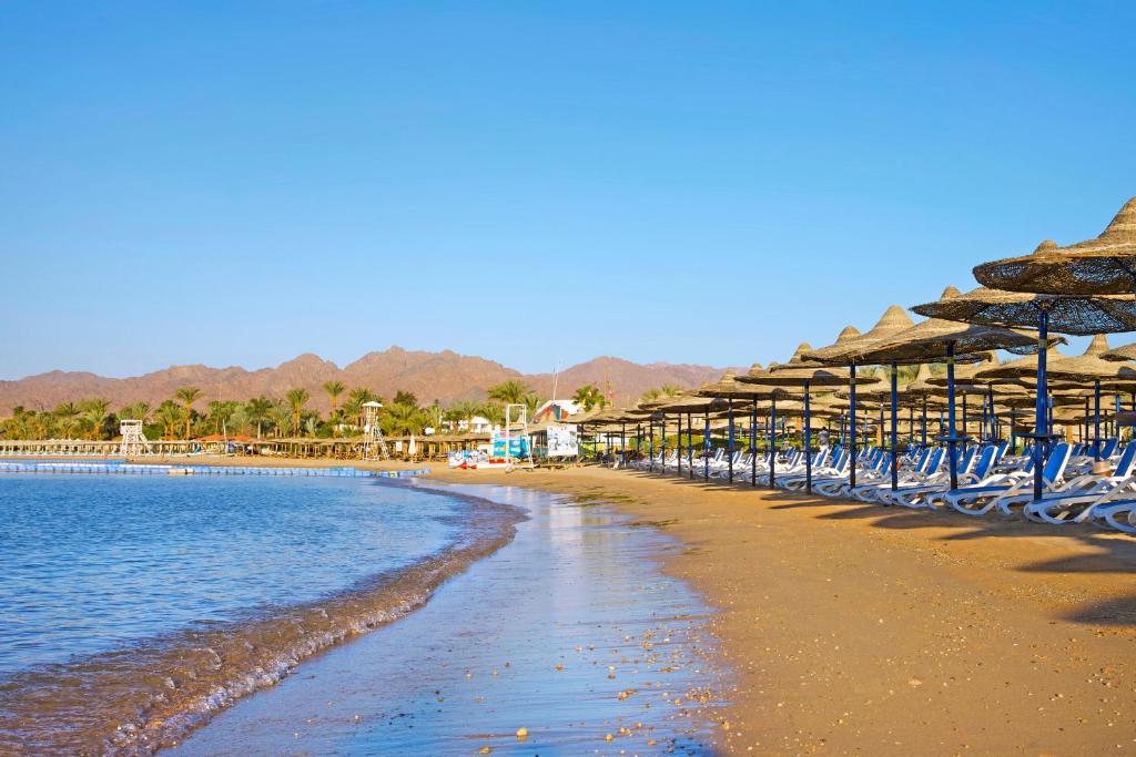 a beach with chairs and umbrellas and the ocean at Gafy Resort Aqua Park in Sharm El Sheikh