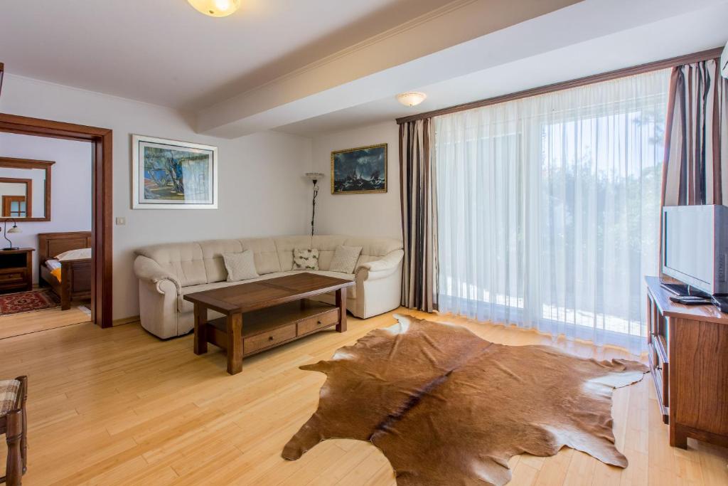 TV a/nebo společenská místnost v ubytování Apartments Robic
