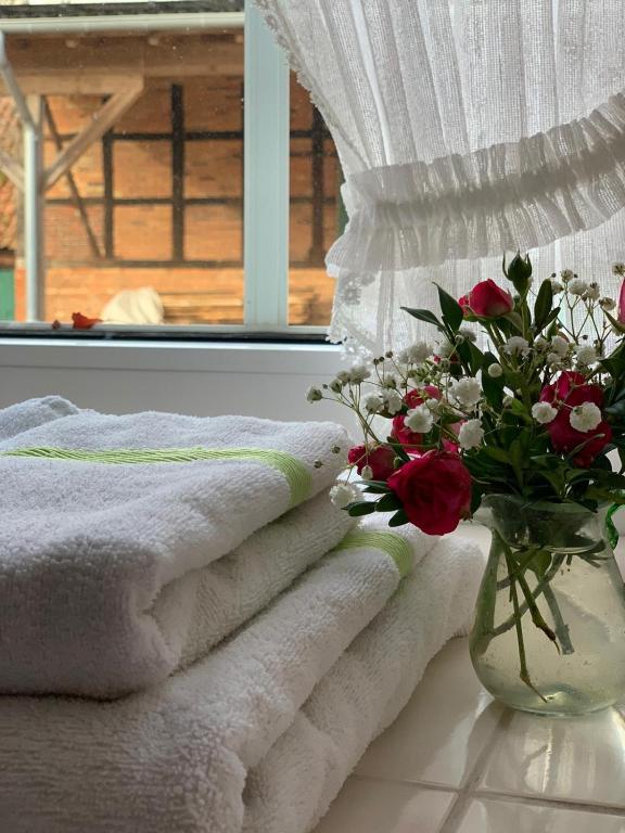 Landhaus Tipp - Single Room With Bathroom
