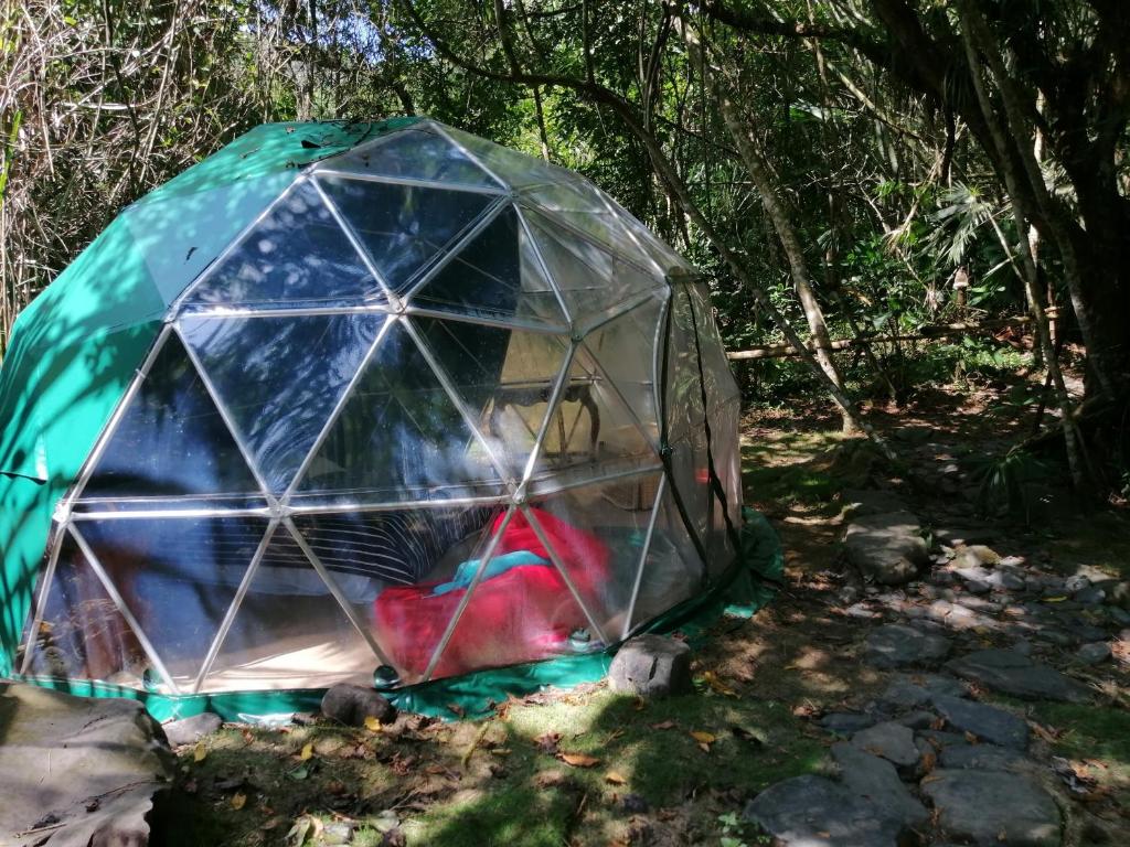 Las cascadas de Andromeda Glamping