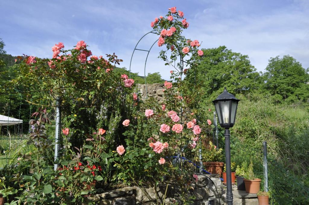 Jardín al aire libre en Casa Muro Ordesa