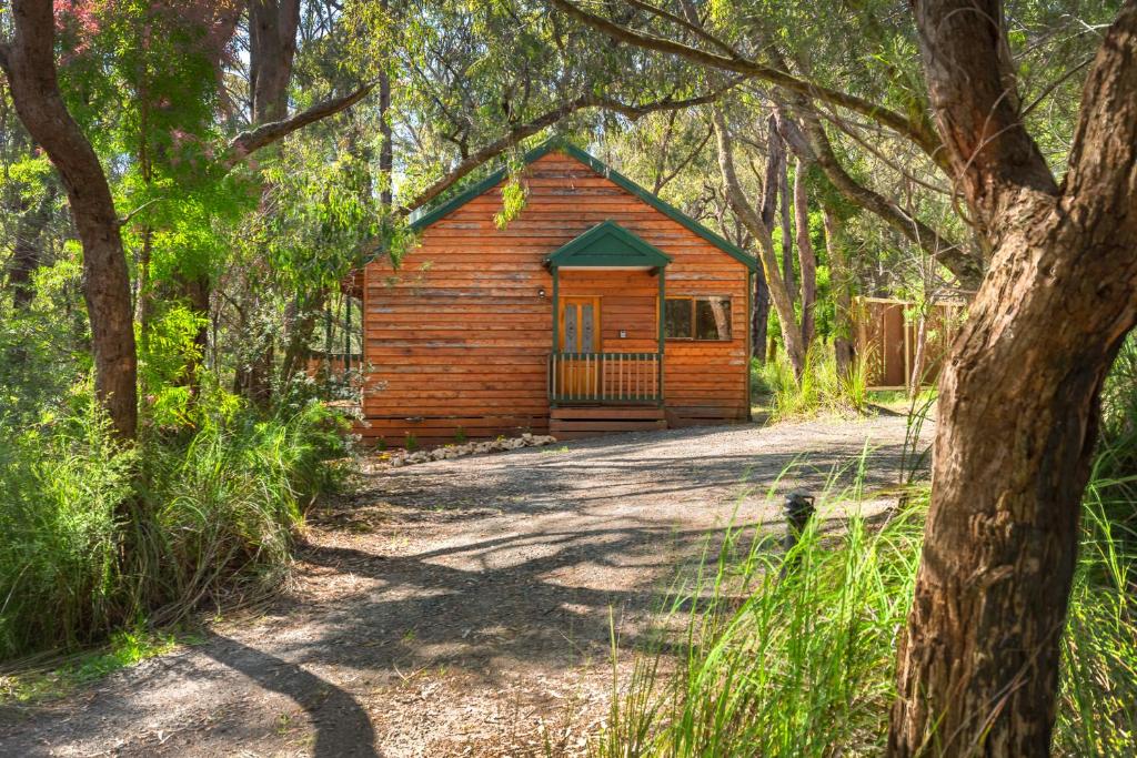 a small cabin in the middle of a forest at Cockatoo Cottages in Cockatoo