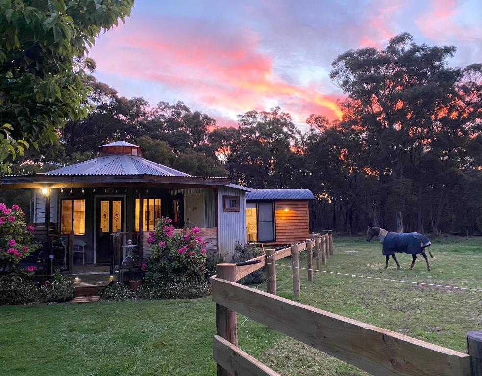 un caballo caminando frente a un pequeño edificio en Ionaforest Yurt, en Wingello