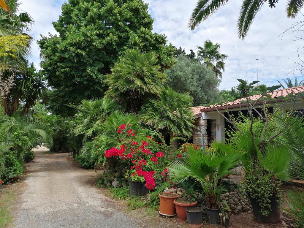 een tuin met planten en bloemen op een onverharde weg bij Villa Loco in Capo Vaticano