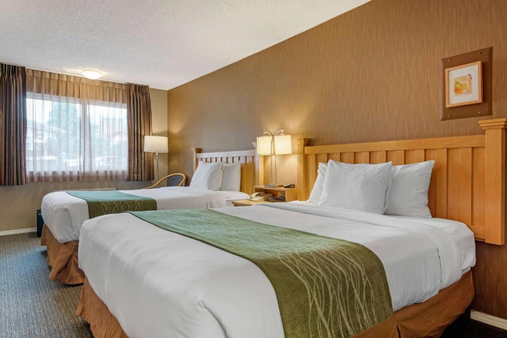 Postel nebo postele na pokoji v ubytování Econo Lodge Inn & Suites