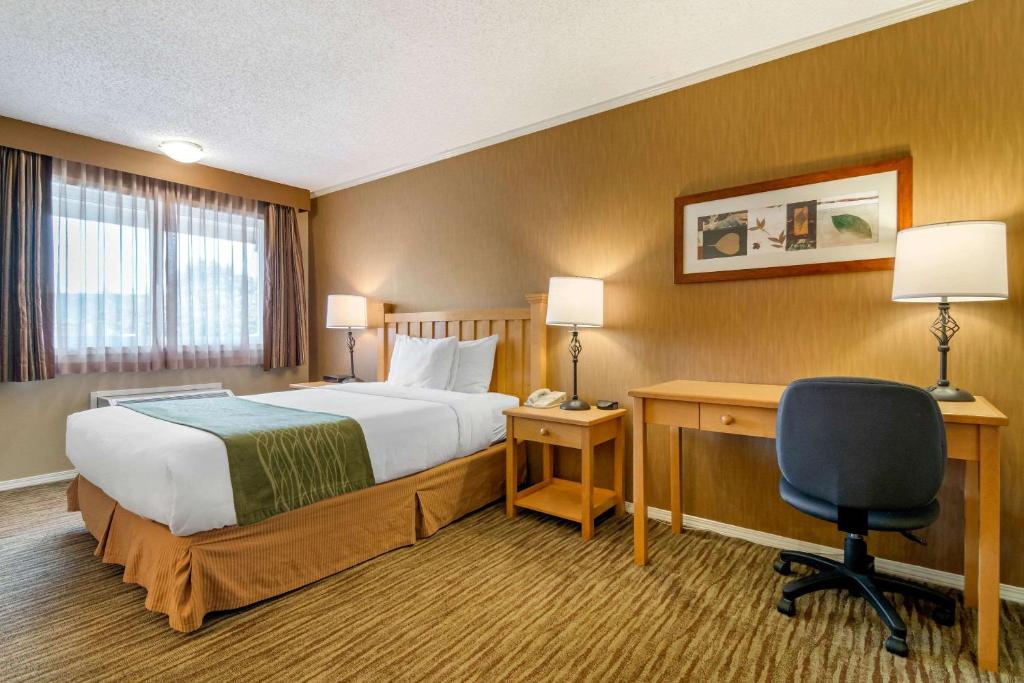 Postel nebo postele na pokoji v ubytování Econo Lodge Inn & Suites
