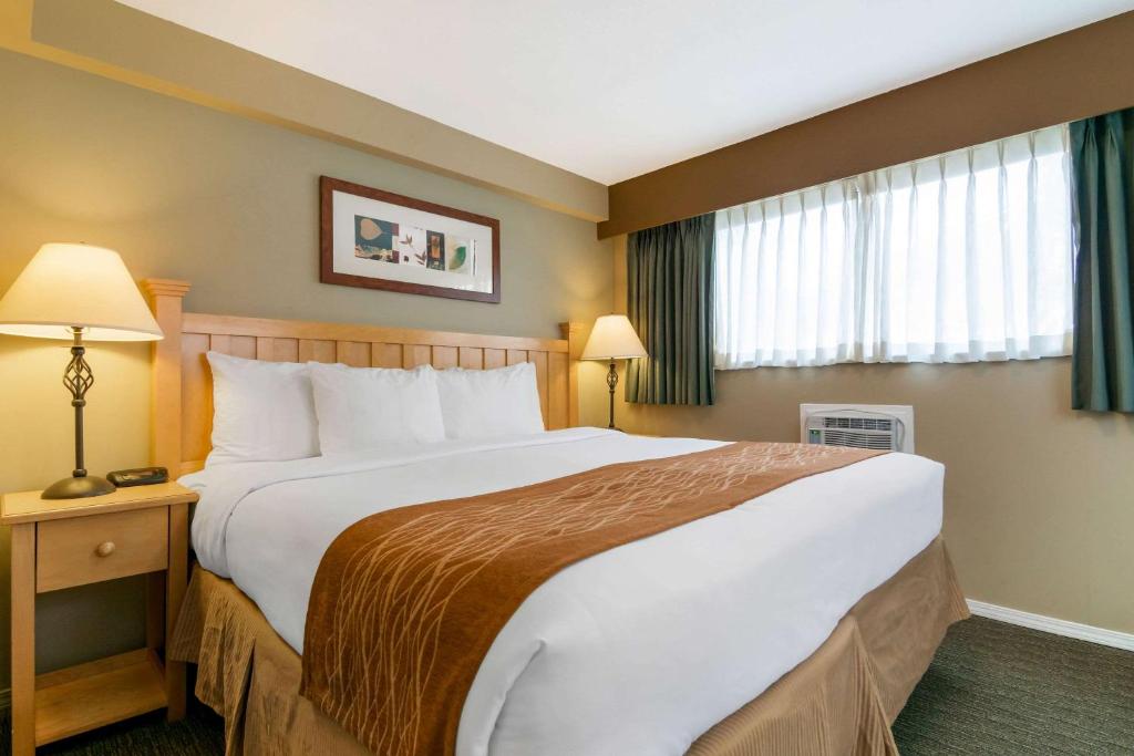 Postel nebo postele na pokoji v ubytování Econo Lodge Inn & Suites