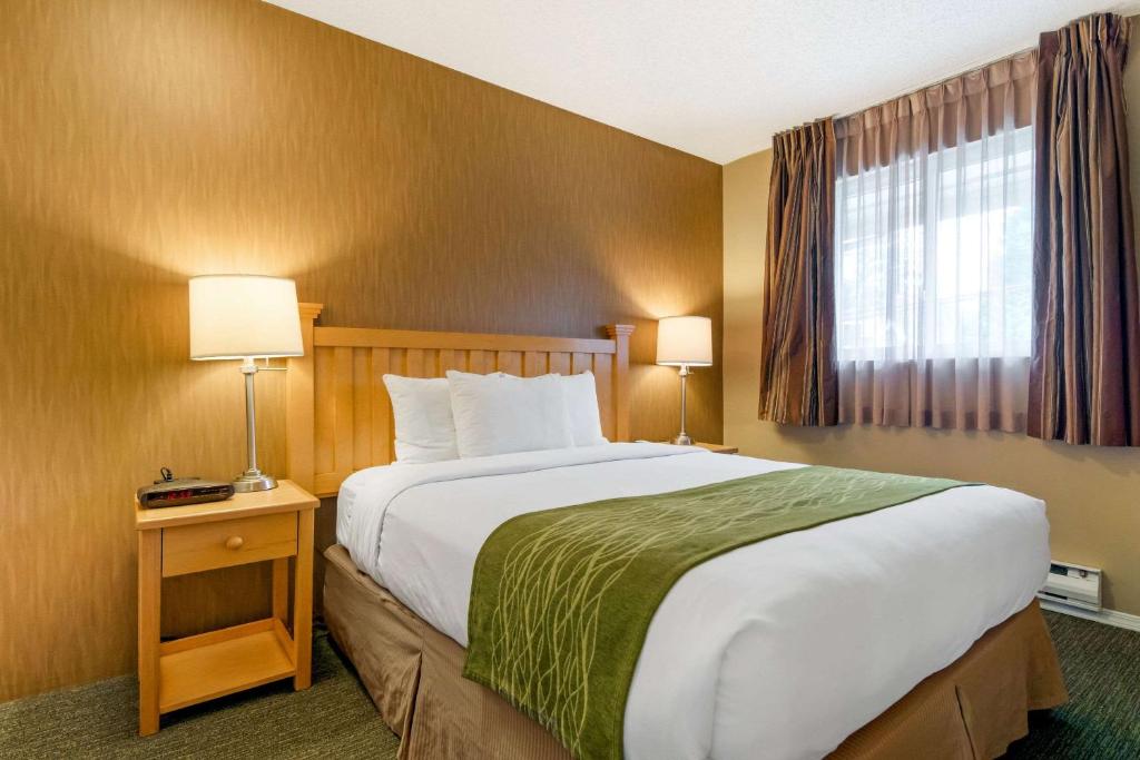 Postel nebo postele na pokoji v ubytování Econo Lodge Inn & Suites