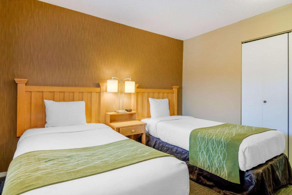 Postel nebo postele na pokoji v ubytování Econo Lodge Inn & Suites