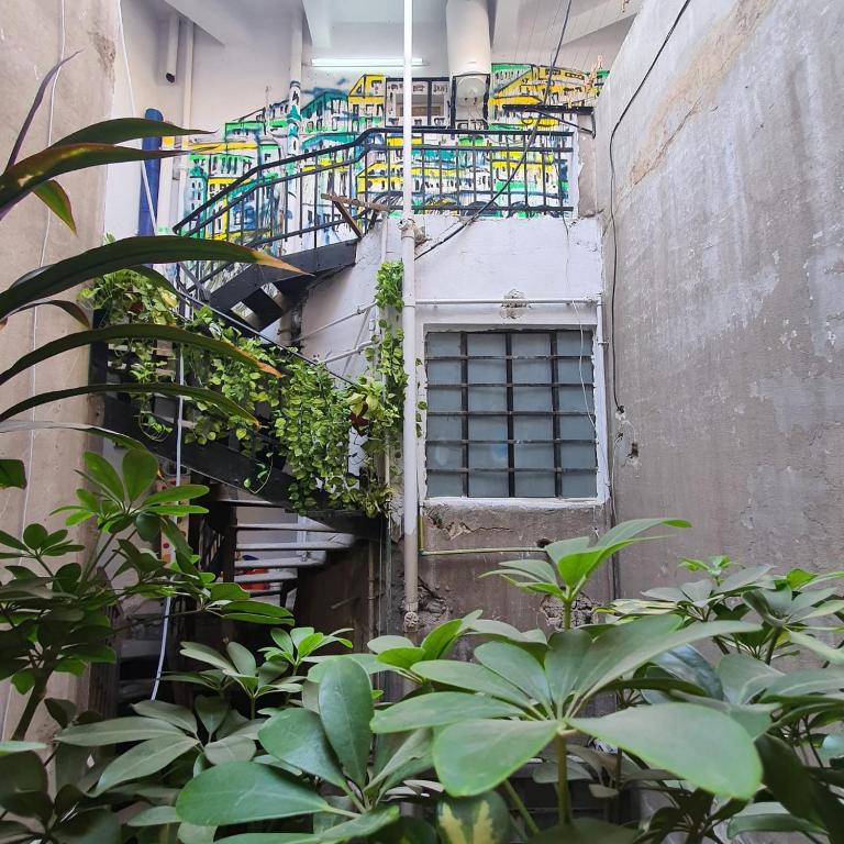 una scala a chiocciola in un edificio con piante di Madina Hostel a Il Cairo