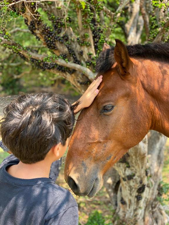  Fazenda Casarão dos Pireneus