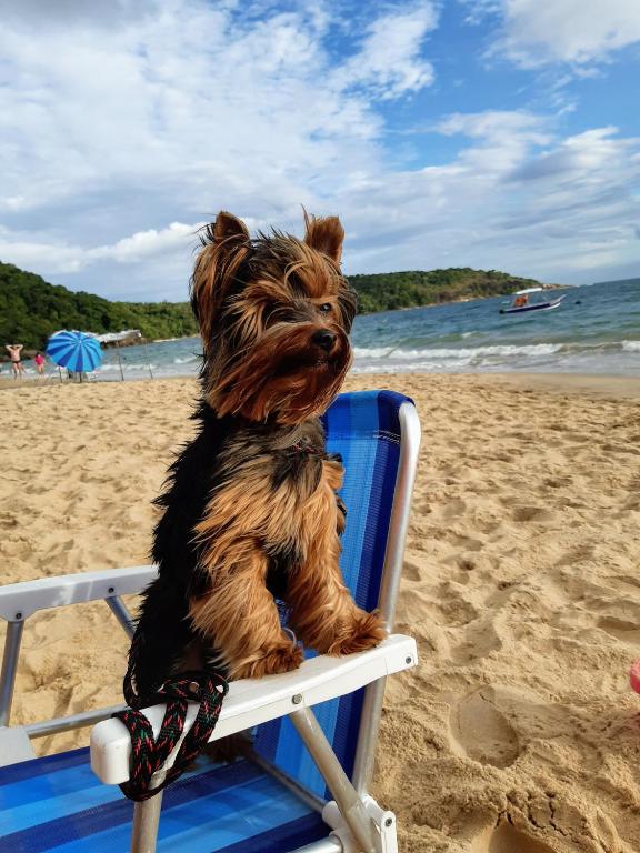  Caraguatatuba- Massaguaçu- Portal do Patrimonium