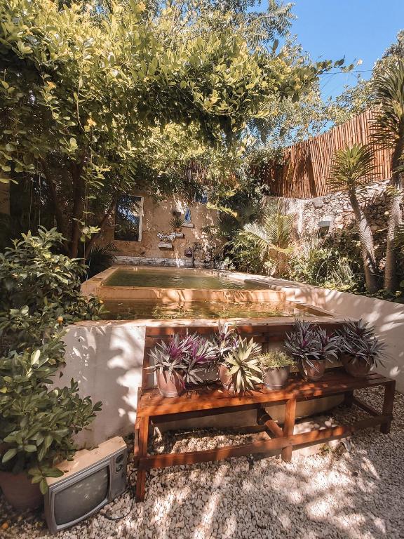 Jardín al aire libre en Kuka y Naranjo