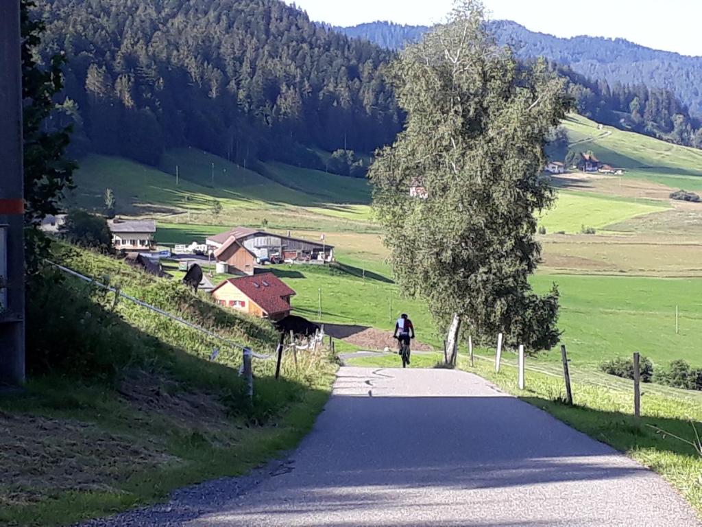 Příroda nedaleko penzionu – hostince