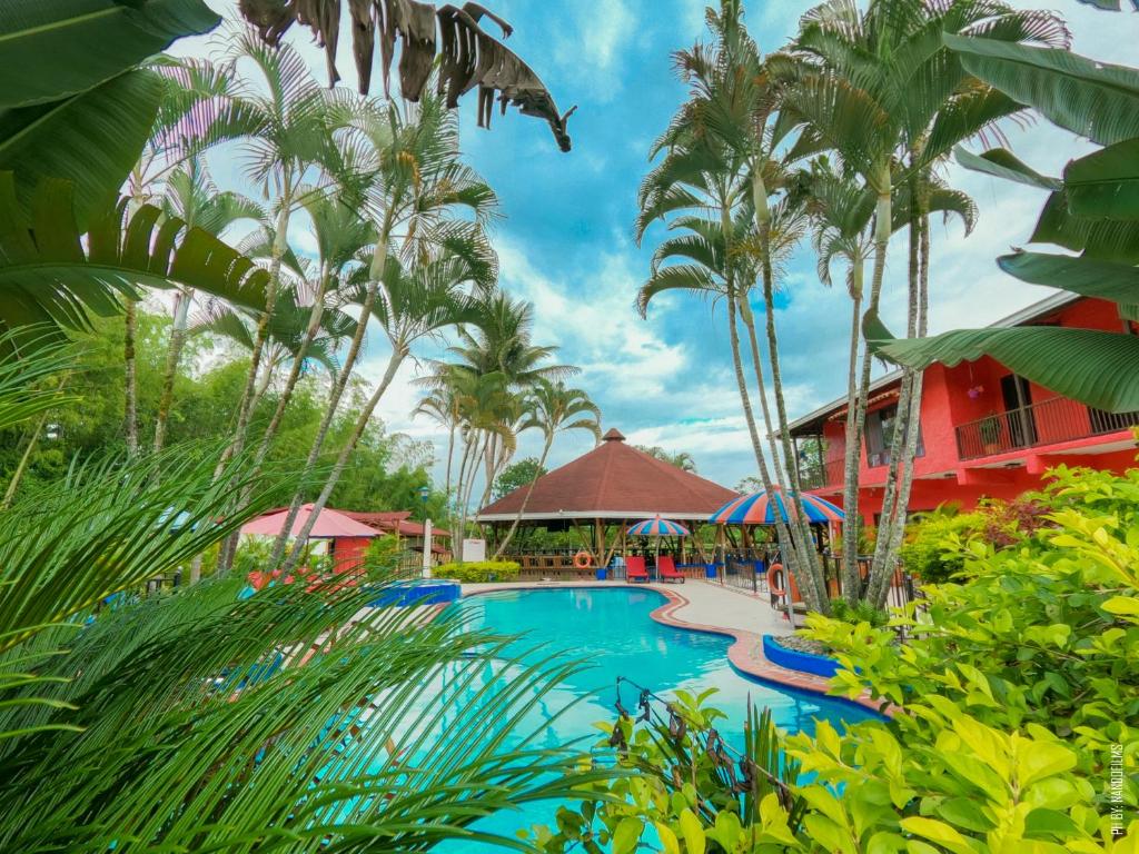 - une piscine dans un complexe avec des palmiers dans l'établissement LA GRANJA ECOHOTEL, à La Tebaida