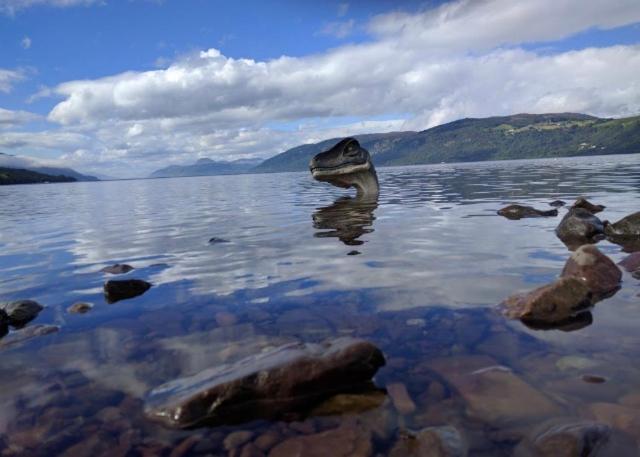 un crocodile flotte dans l'eau sur un lac dans l'établissement Lovat Loch Ness Apartment with private roof terrace, à Fort Augustus