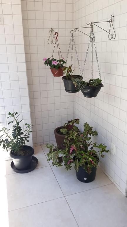  Apartamento praia Itapoã
