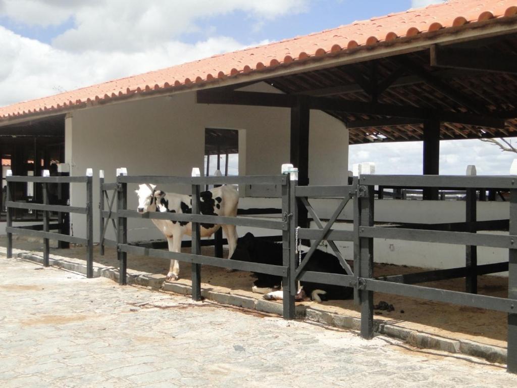  Hotel Fazenda Monte Castelo