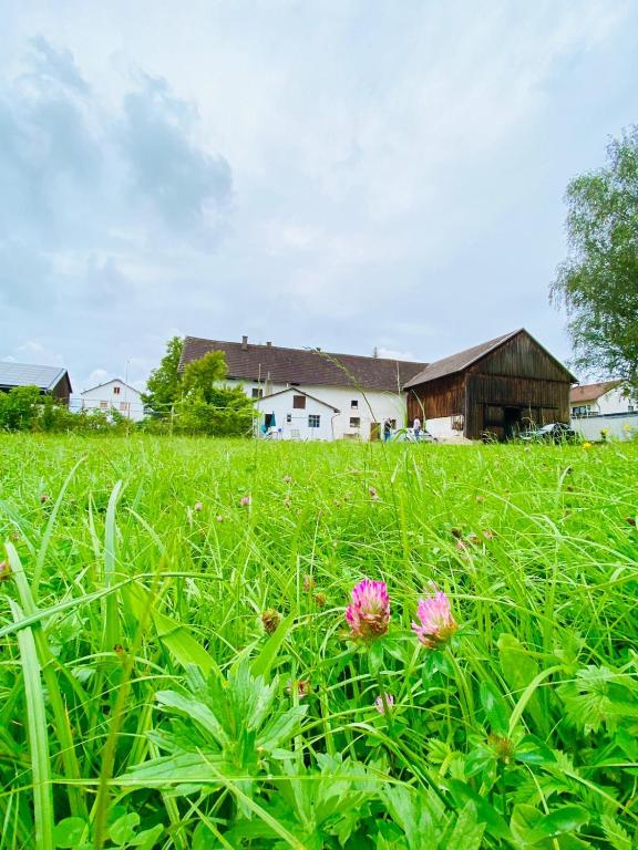 Bauernhaus am Sallingbach - Vakantiehuis