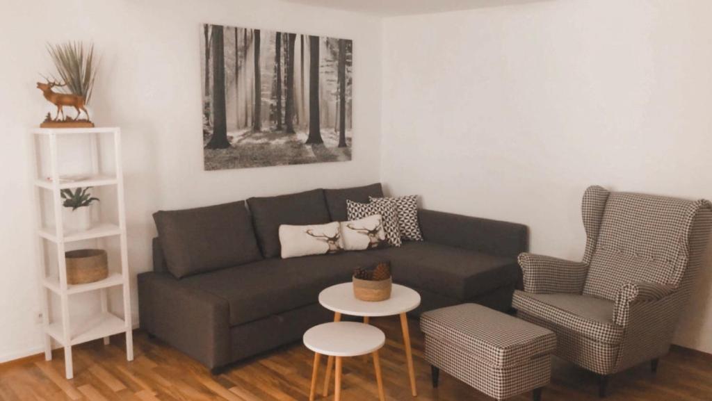 uma sala de estar com um sofá e uma cadeira em Platzhirsch Seligenstadt - Im Herzen der Altstadt em Seligenstadt