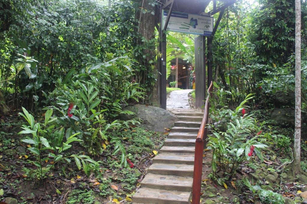 Zahrada ubytování Cordillera Escalera Lodge