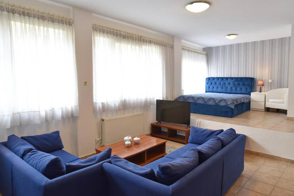 a living room with blue couches and a tv at A Modern Bright Studio In The Center Of Kastoria in Kastoria