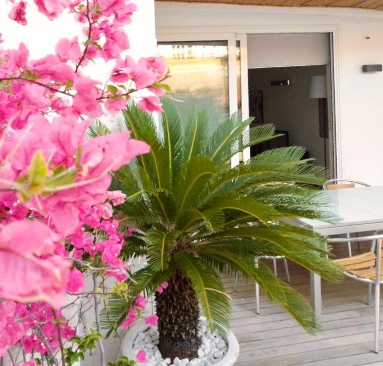 a palm tree in a pot on a porch with pink flowers at B&B Interno 3 in Bari