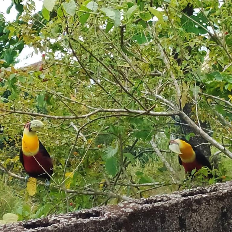  Ilhabela tesouro