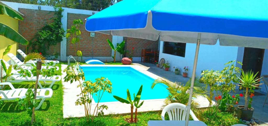 einen Pool mit Stühlen und einem Sonnenschirm in der Unterkunft Diamond Monkey Lodge in Ica
