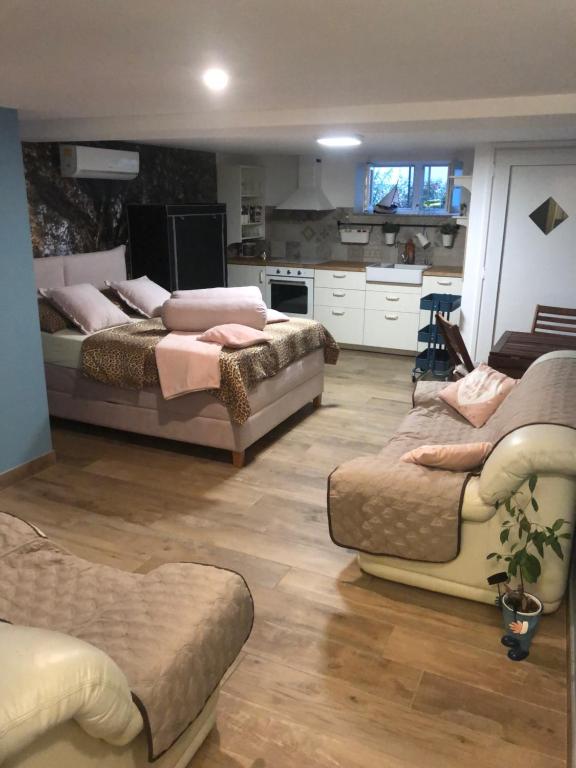 Studio Pod Room, free parking - 19