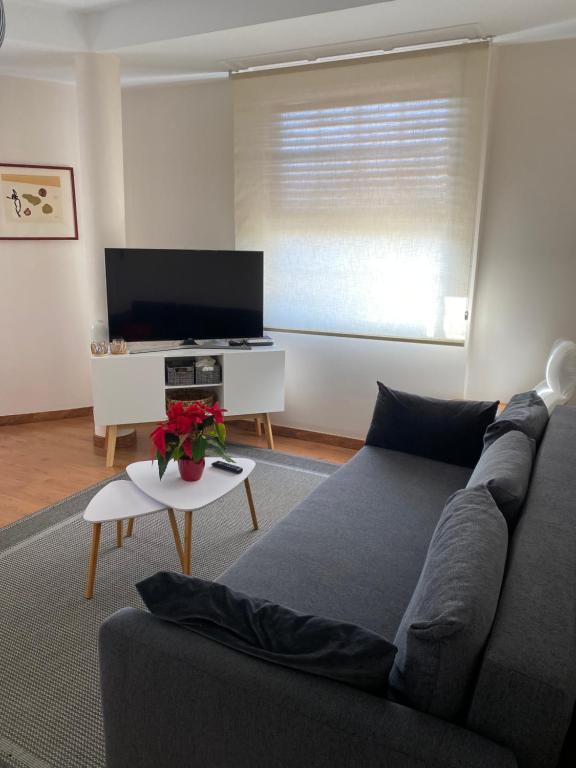 TV a/nebo společenská místnost v ubytování PISO AUDITORIO CENTRO LA OROTAVA