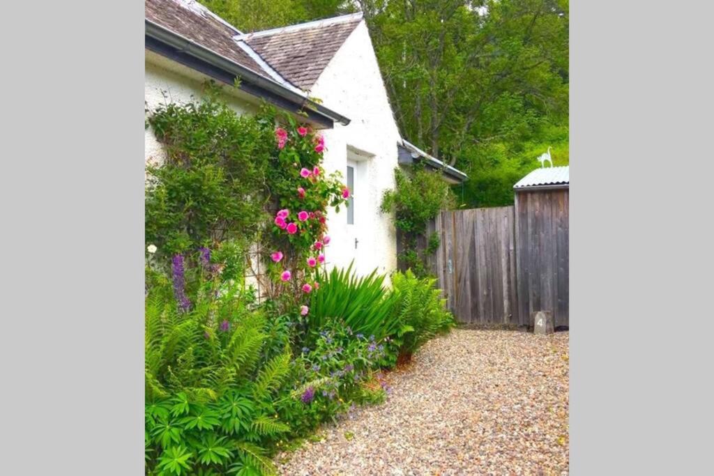 a garden with flowers on the side of a house at 4 Balvaig Cottage in Stirling