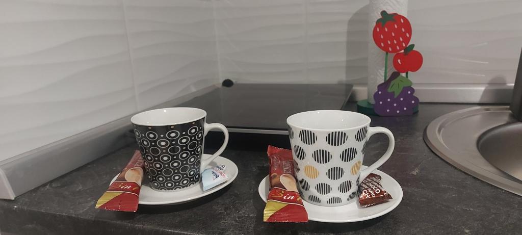 Příslušenství pro přípravu čaje a kávy v ubytování APARTMAN studio DADO