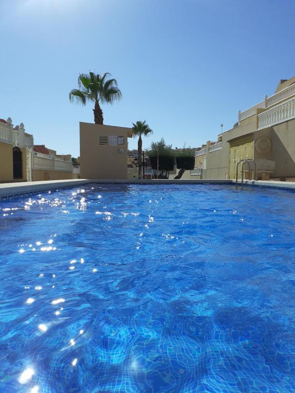 a large blue swimming pool with a palm tree in the background at Carolinas aptmt Orihuela in Villacosta