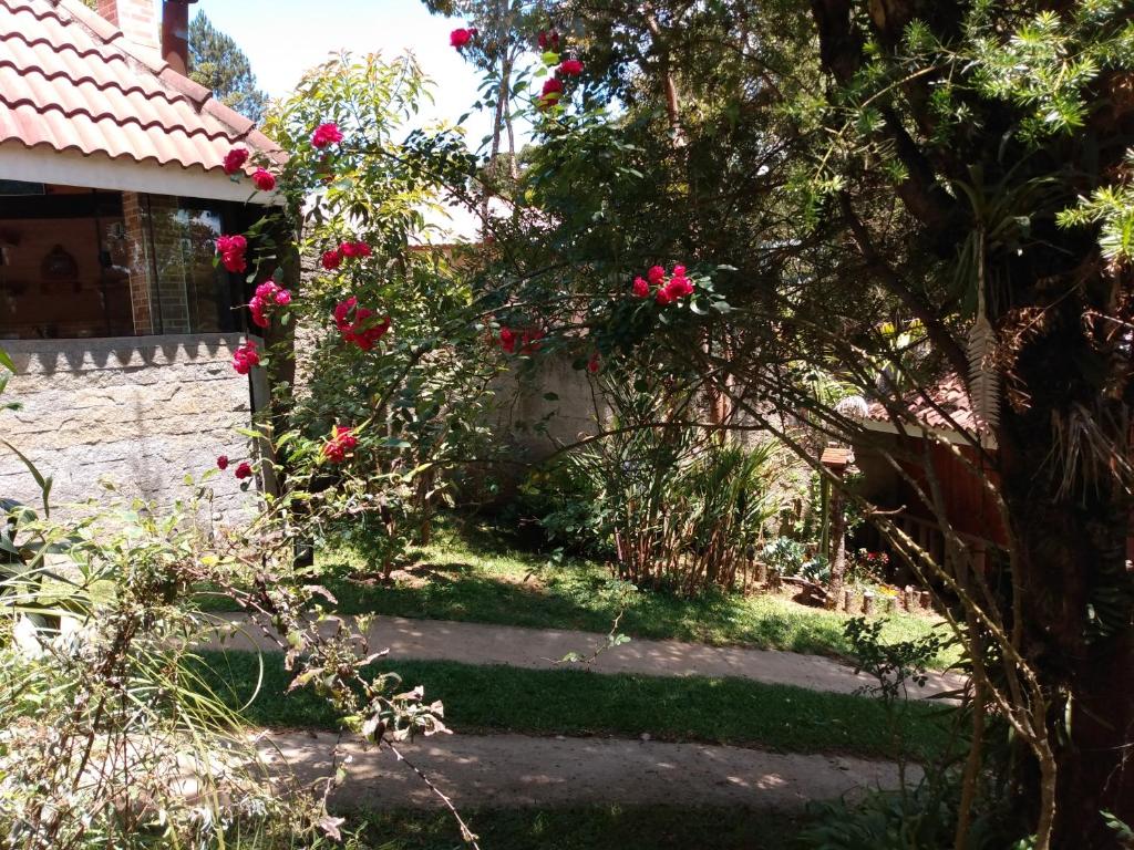  Cantinho do Bahianinho