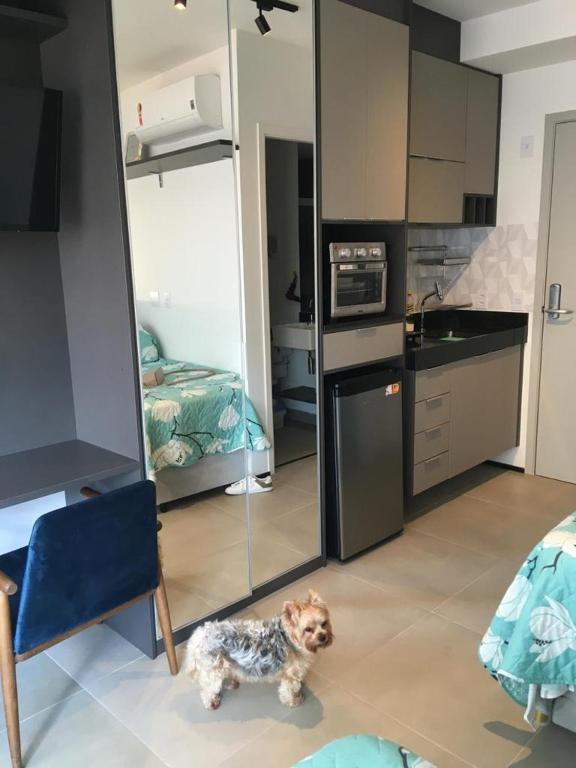  Studio acongegante na vila Mariana
