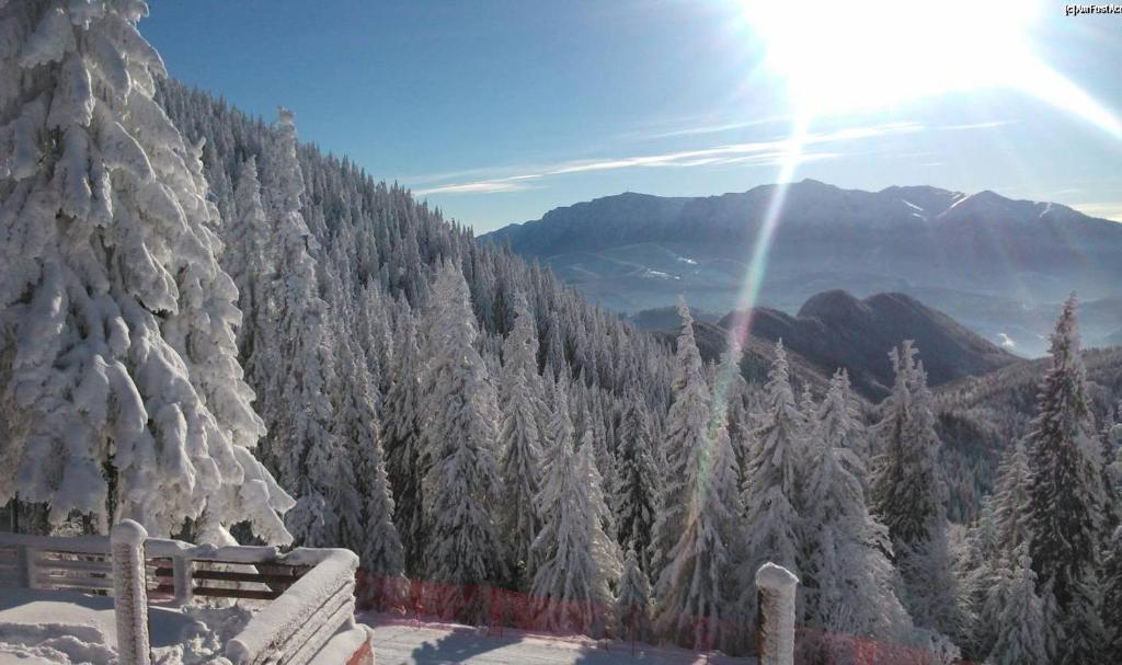 Apartament Alpin Poiana Brasov , etaj 8 - Resim 24