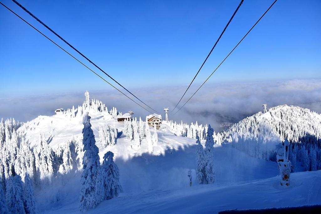 Apartament Alpin Poiana Brasov , etaj 8 - Resim 26