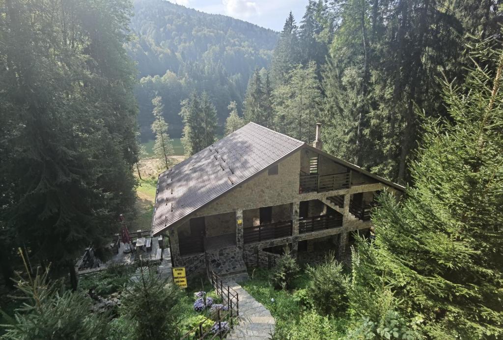 una casa en medio de un bosque en Cabana Zimbru Transfagarasan, en Arefu