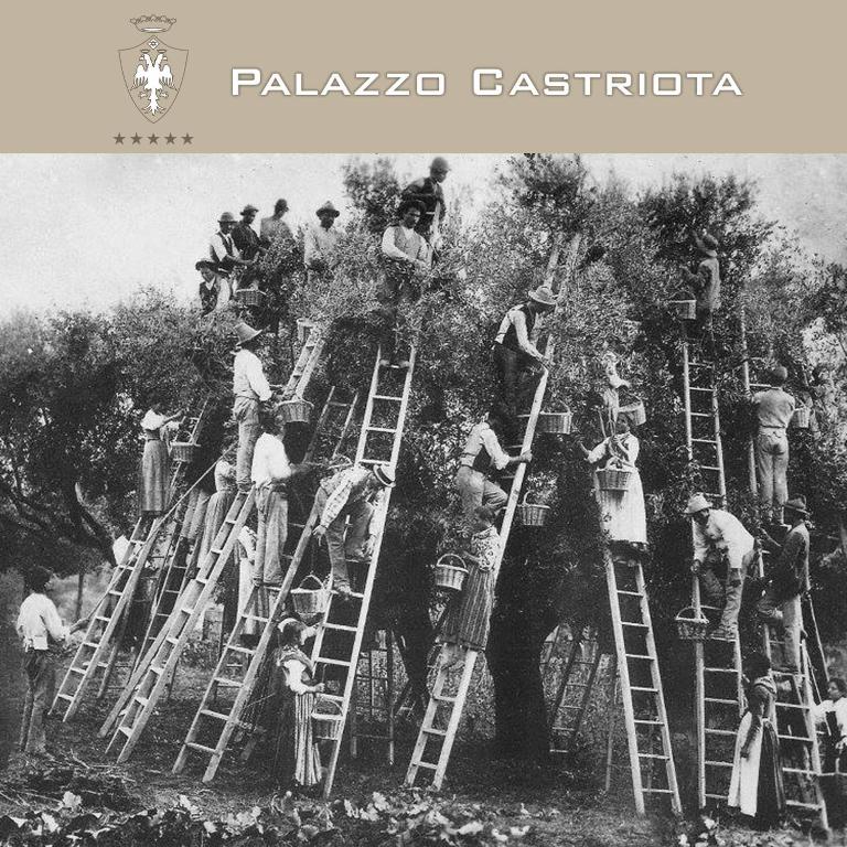 Fotografie z fotogalerie ubytování Palazzo Castriota v destinaci Alezio