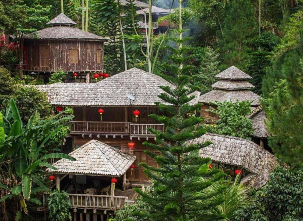 バヤンレパスにあるFig Tree Hills Resort (花果山度假村)の森の中の家