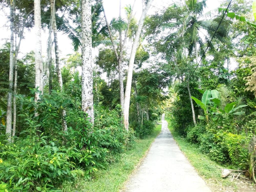 Jungle House - surf & stay - 11